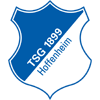Teamfoto für 1899 Hoffenheim
